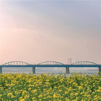 荒野营救行动游戏下载